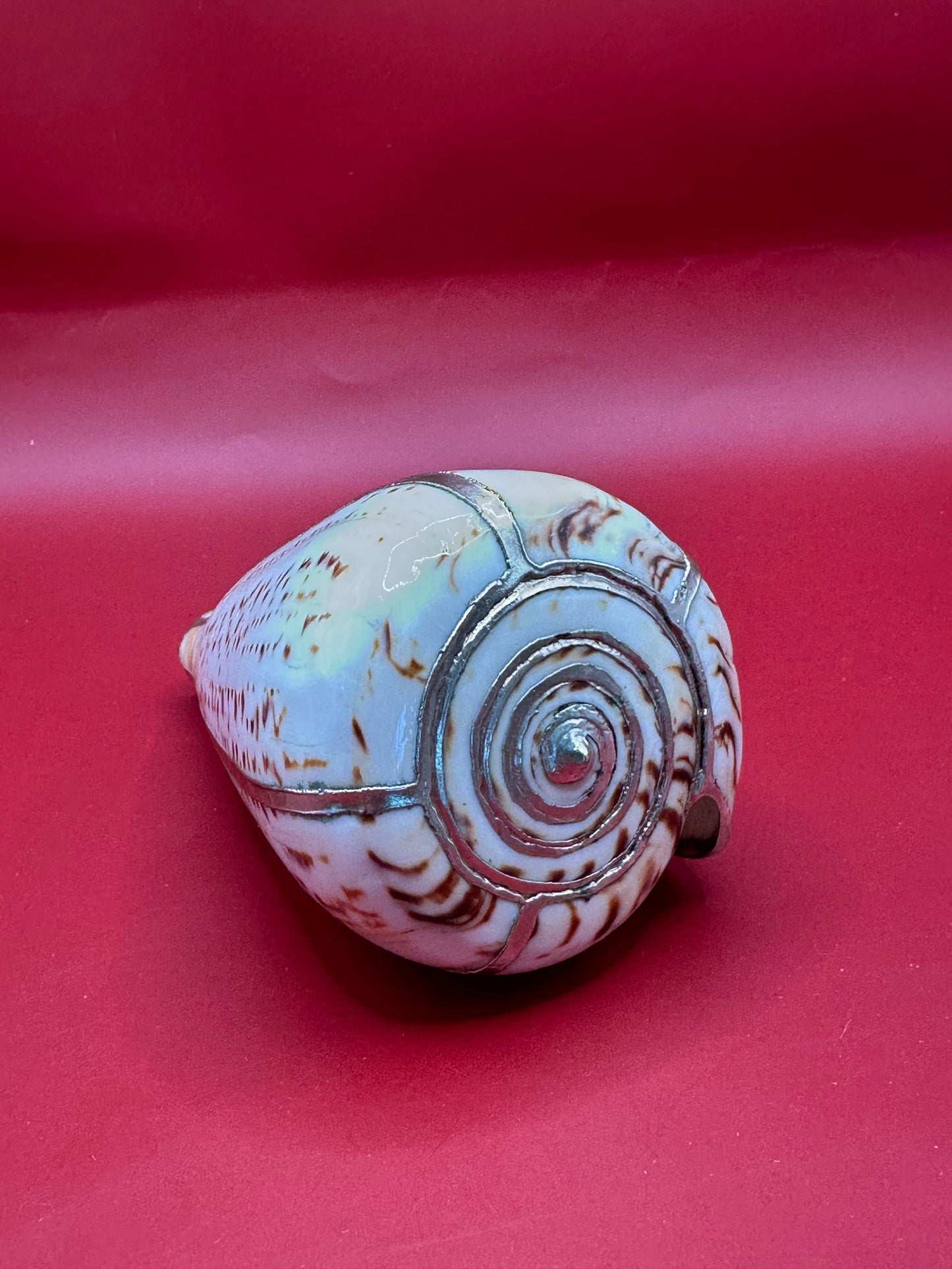 Lettered Cone Display Shell with Silver-Plated Accents – Coastal Decor, 4.25"