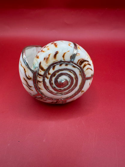 Lettered Cone Display Shell with Silver-Plated Accents – Coastal Decor, 4.25"