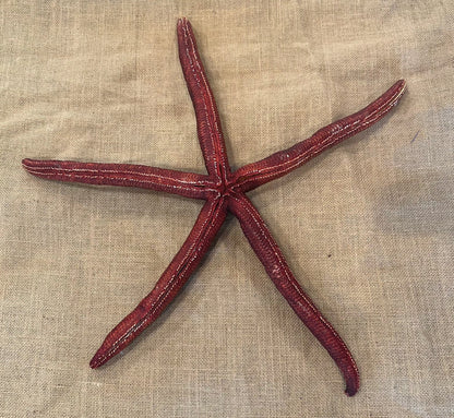 Giant Red Starfish 20"