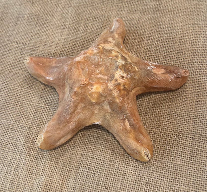 Red Wax Starfish 6"