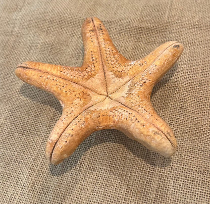 Red Wax Starfish 6"