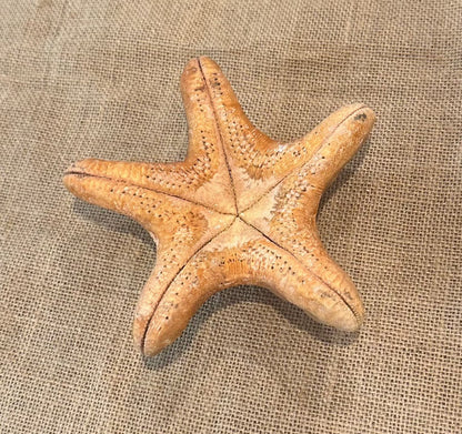 Red Wax Starfish 6"