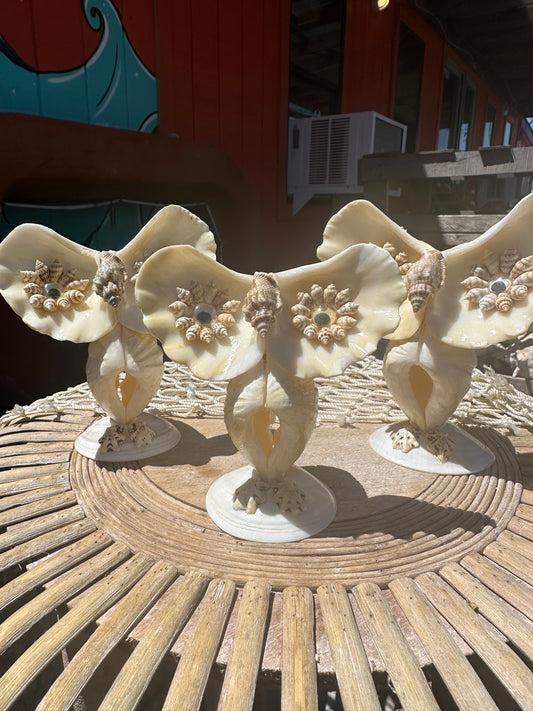 Vintage Seashell Owl- made out of mini 'giant' clams