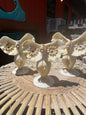 Vintage Seashell Owl- made out of mini 'giant' clams