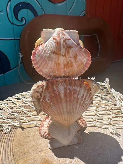 Vintage Texas Seashell Owl – 1970s Coastal Shell Figurine