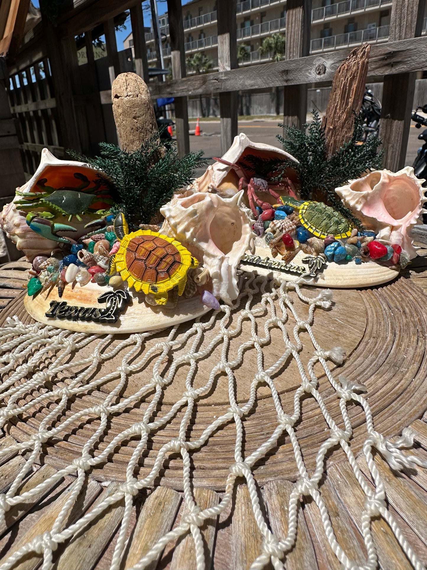 Seashell Beach Scene with Turtle & Crab