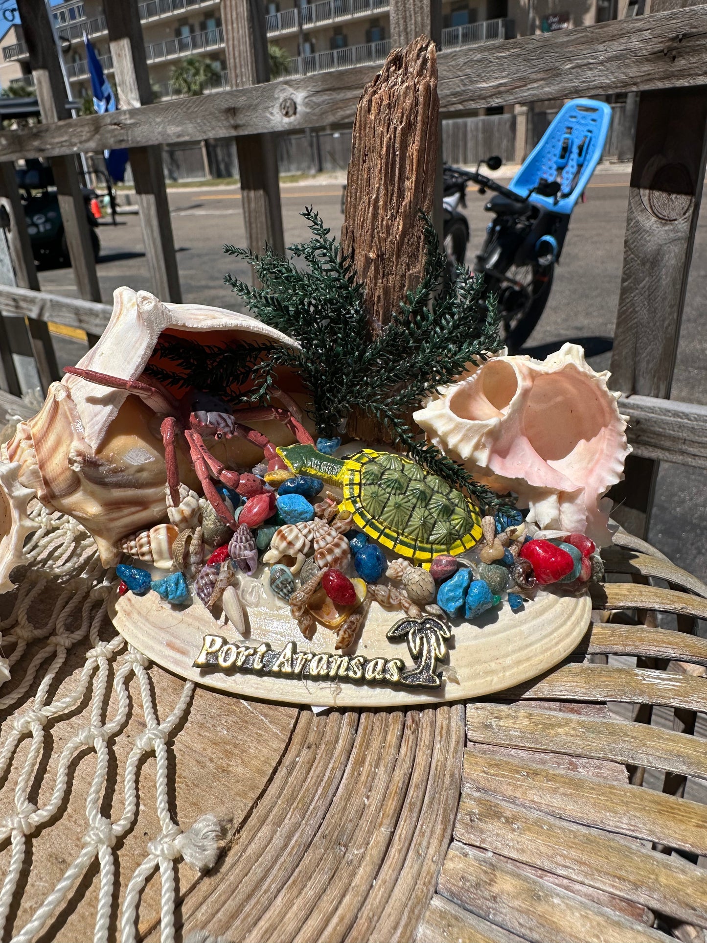 Seashell Beach Scene with Turtle & Crab