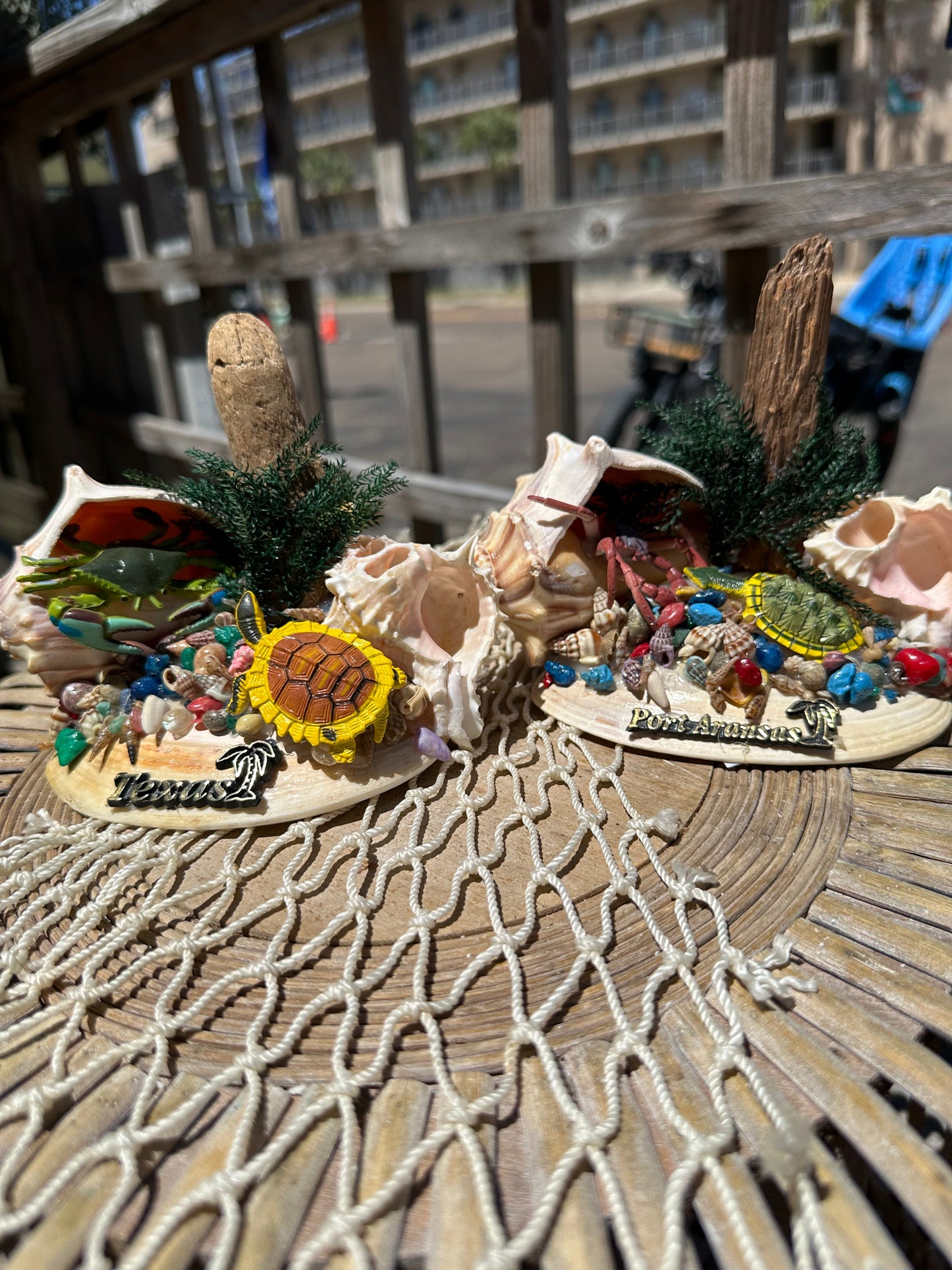 Seashell Beach Scene with Turtle & Crab