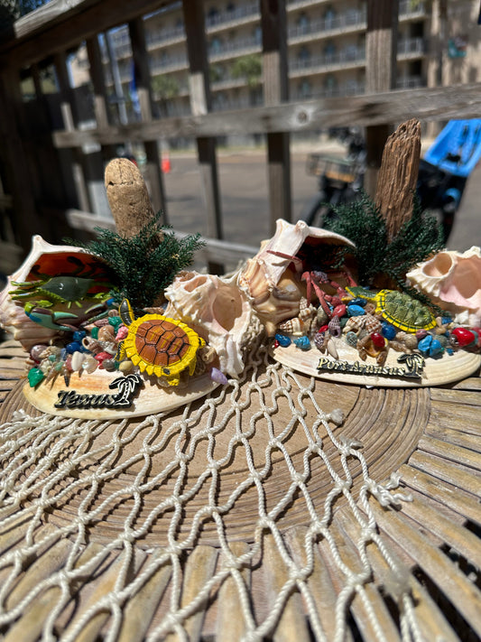 Seashell Beach Scene with Turtle & Crab