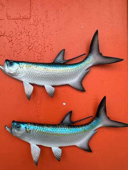 Tarpon Fish Magnet