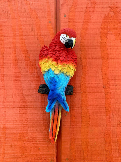 Wall Hanging Parrot