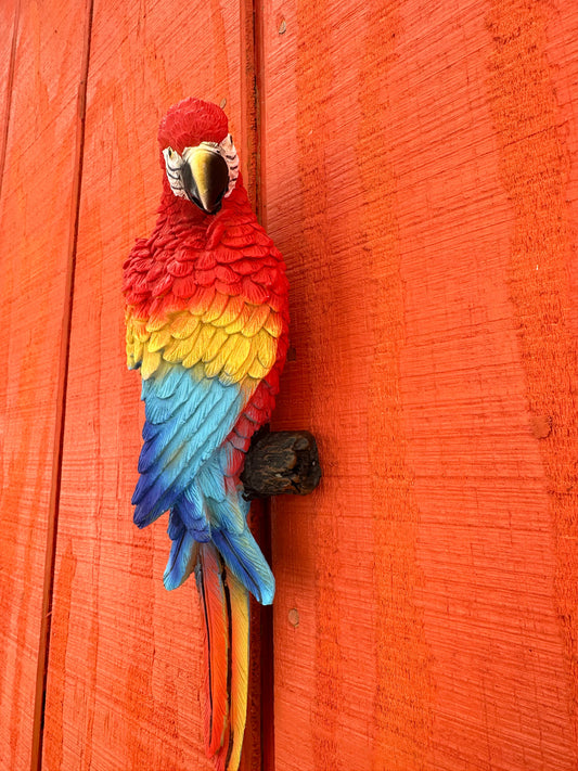 Wall Hanging Parrot