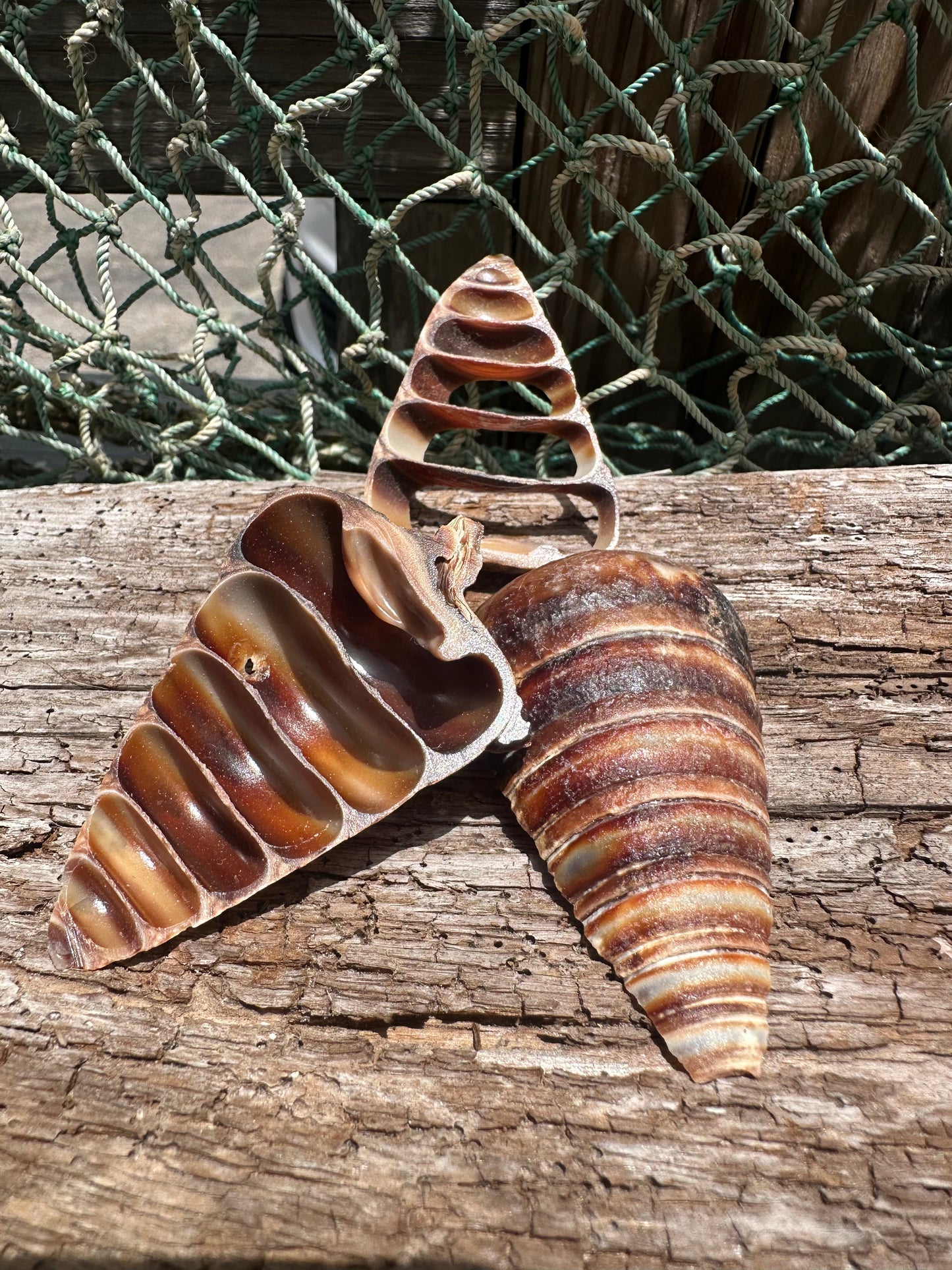 Sliced Telescopic Cone