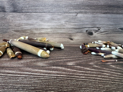 Grade A Pencil Sea Urchin Spines