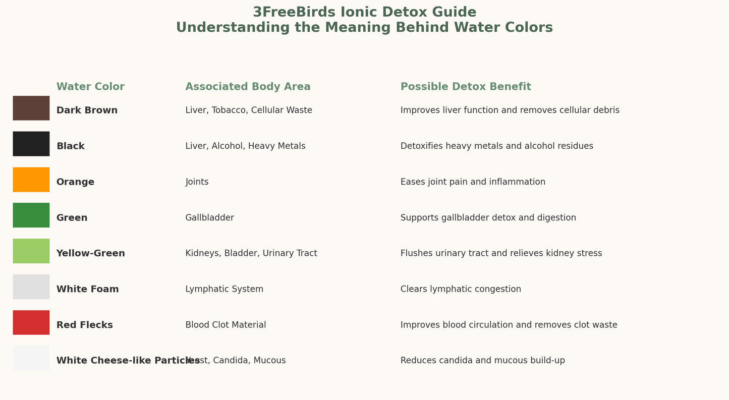 60 minute Ionic Detoxification