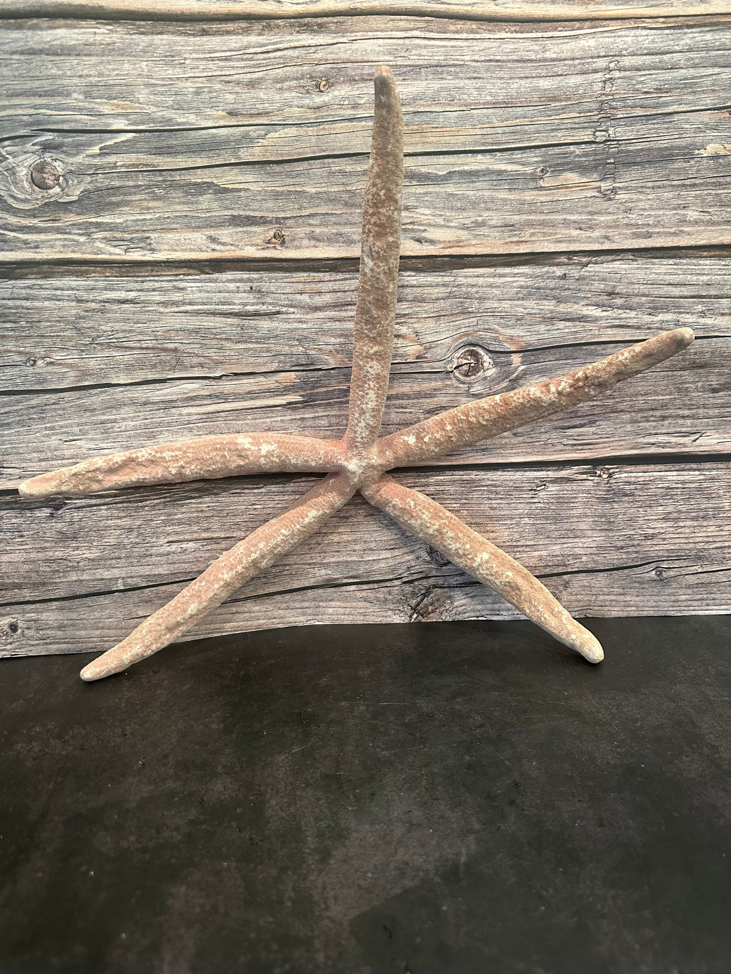 Giant Red Linkia Starfish 18"