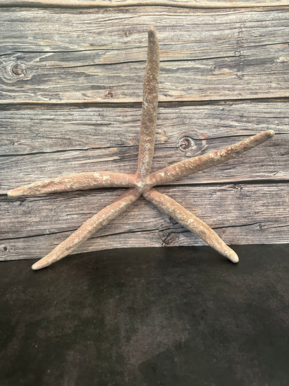 Giant Red Linkia Starfish 18"