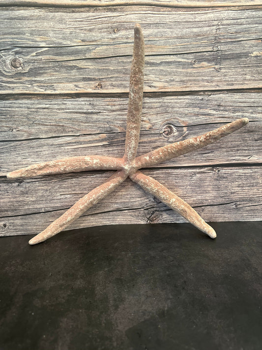 Giant Red Linkia Starfish 18"