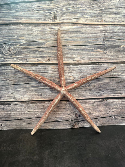 Giant Red Linkia Starfish 17"
