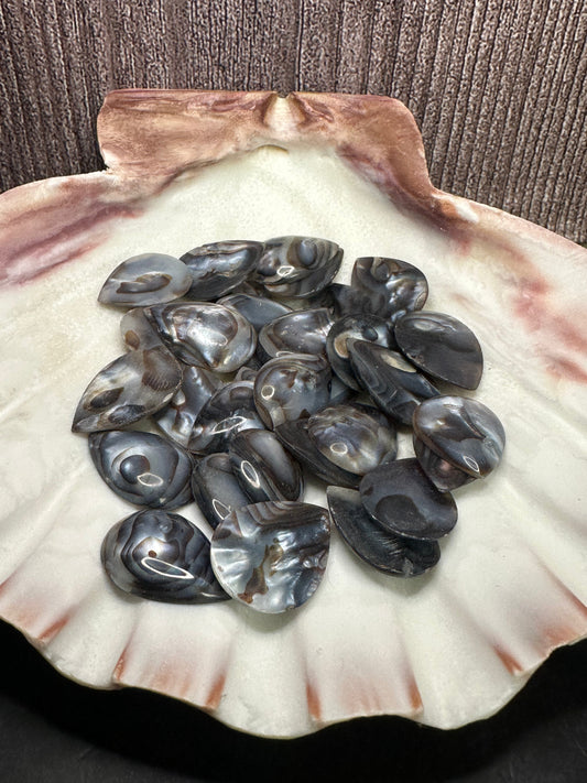 Carved River Clam Jewelry Pendant Cabochon