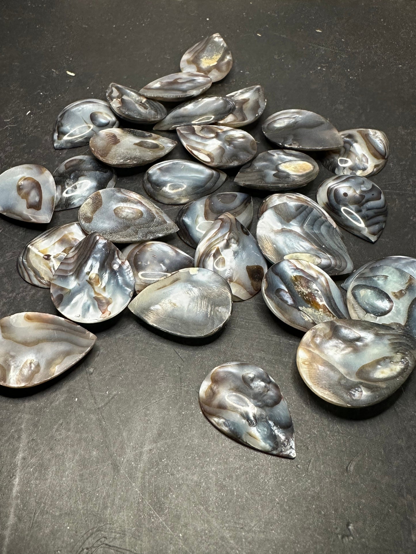 Carved River Clam Jewelry Pendant Cabochon