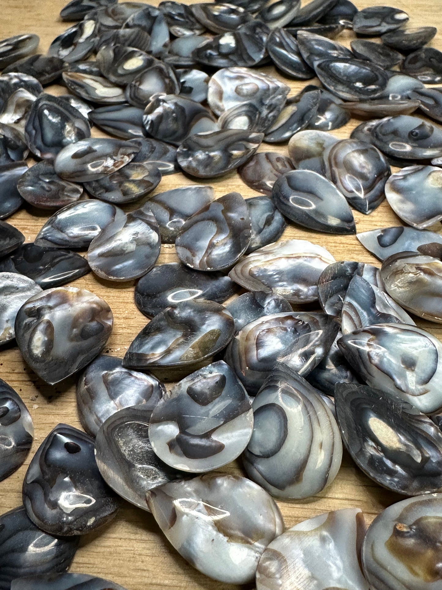 Carved River Clam Jewelry Pendant Cabochon