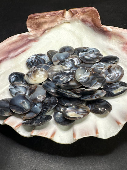 Carved River Clam Jewelry Pendant Cabochon