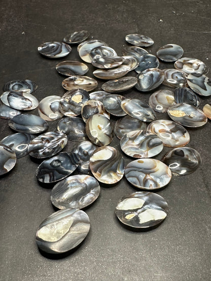 Carved River Clam Jewelry Pendant Cabochon