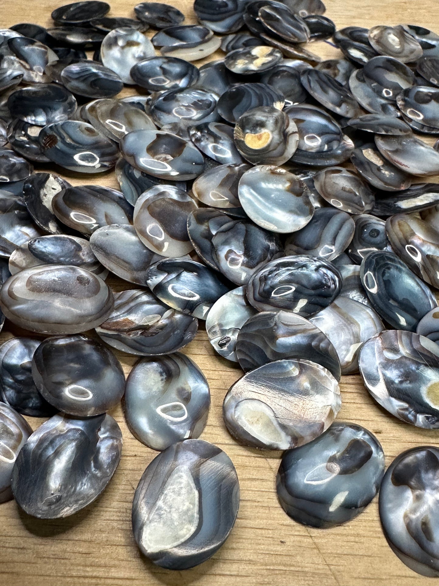 Carved River Clam Jewelry Pendant Cabochon