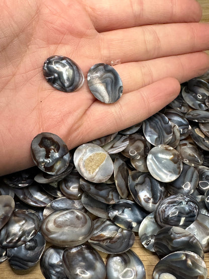 Carved River Clam Jewelry Pendant Cabochon