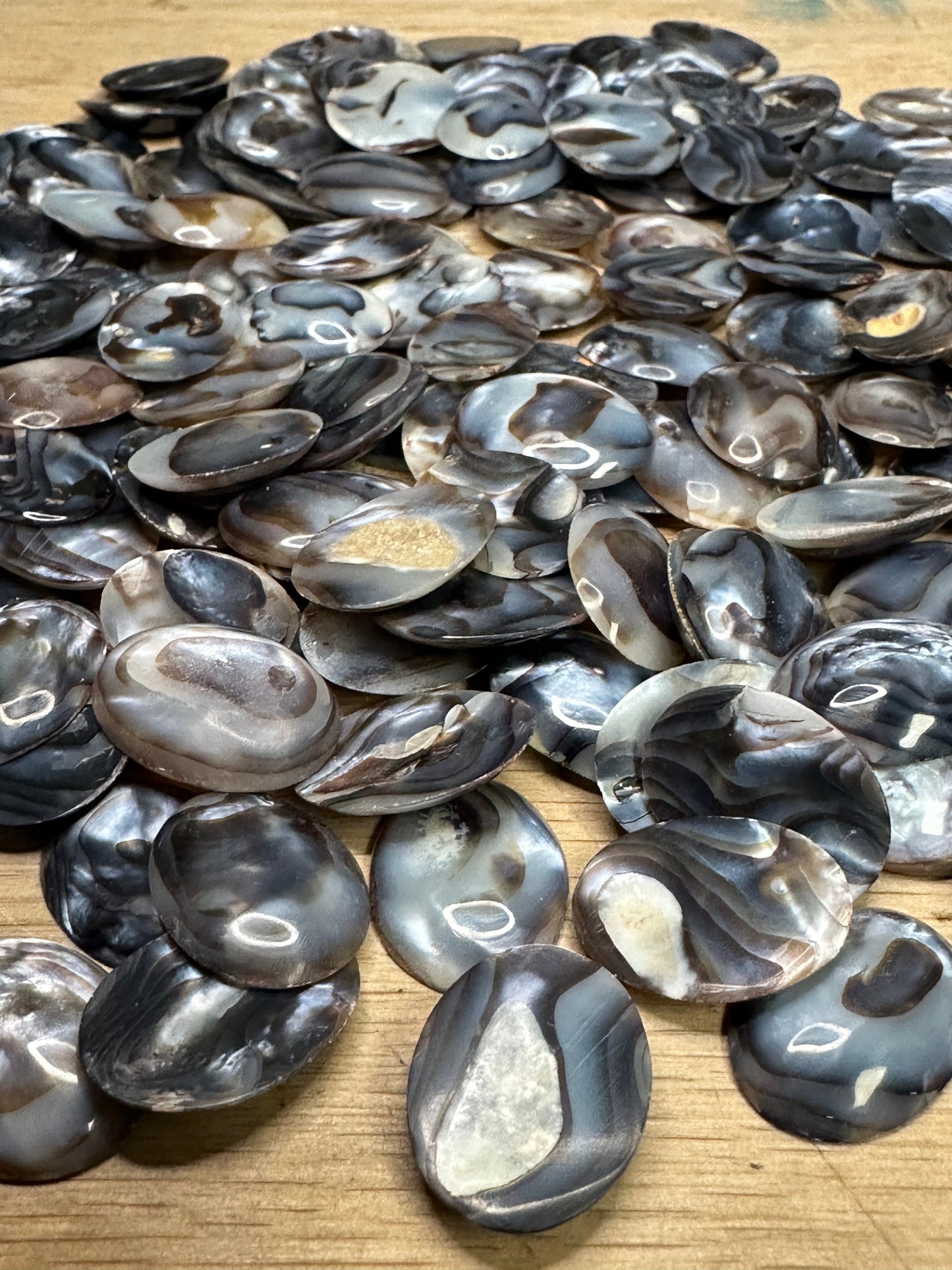 Carved River Clam Jewelry Pendant Cabochon