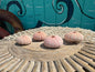 Pink Sea Urchin Shells