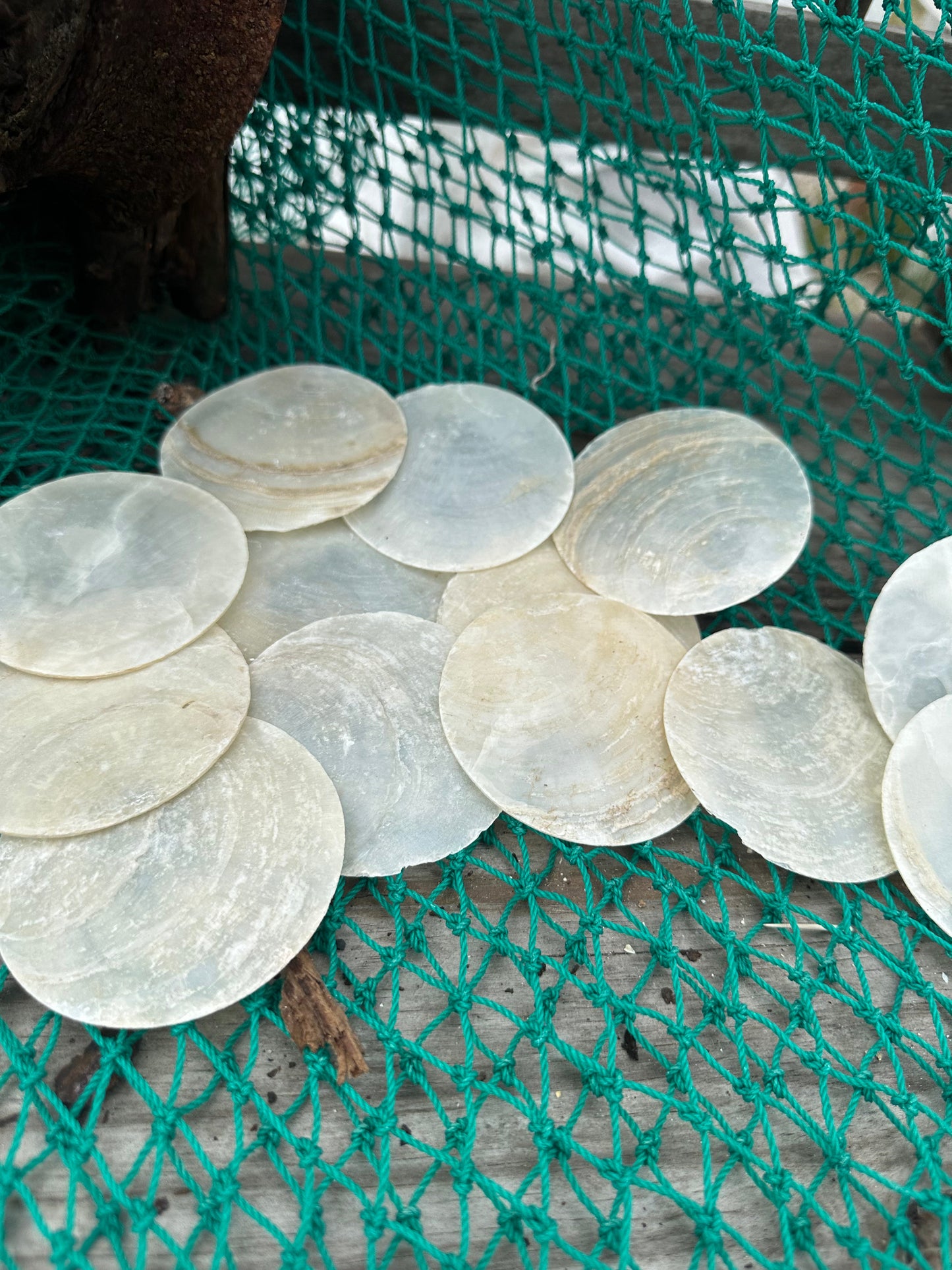 Thick Vintage Capiz Shell Round 3"