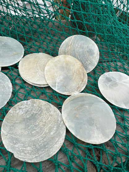 Thick Vintage Capiz Shell Round 2.5"