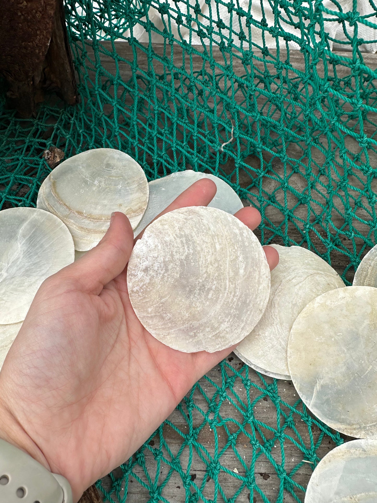 Thick Vintage Capiz Shell Round 3"