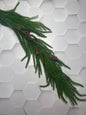 60in Cryptomeria Garland