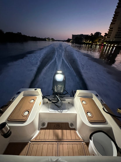 E-Sea Light- Suction Mounted Waterproof Floodlight