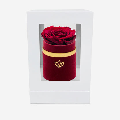 Single Bordeaux Suede Box | Burgundy Rose