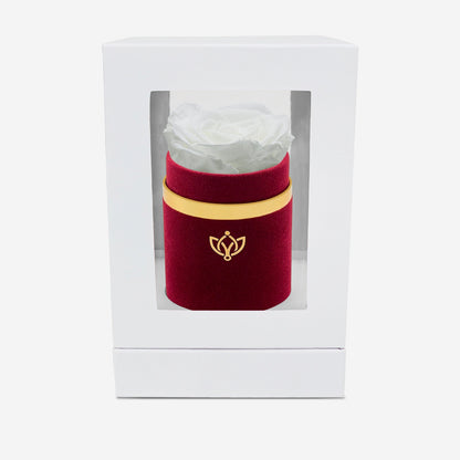 Single Bordeaux Suede Box | White Rose