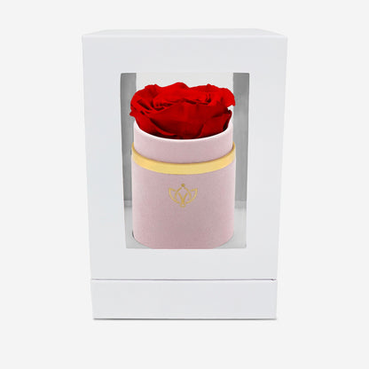 Single Light Pink Suede Box | Red Rose
