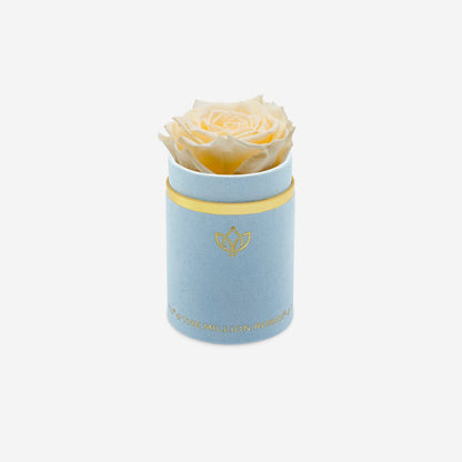 Single Light Blue Suede Box | Ivory Rose
