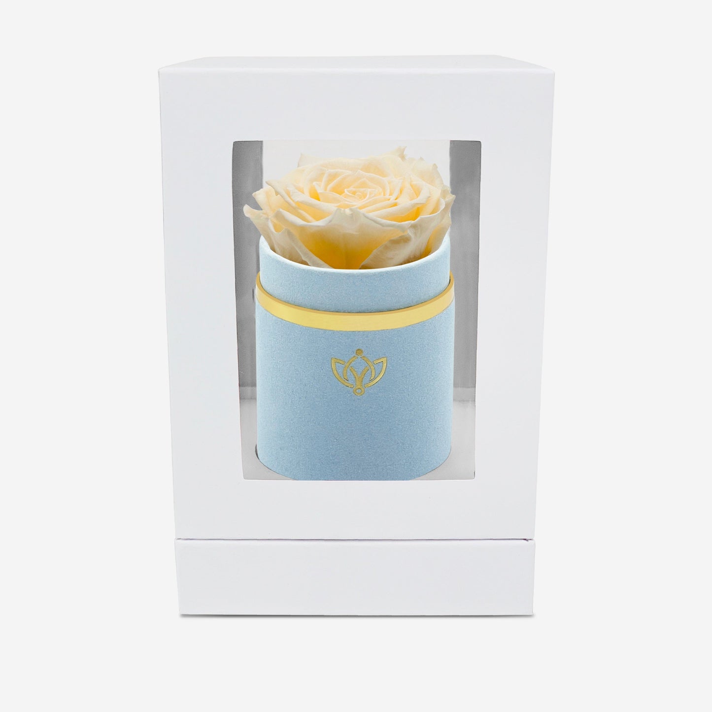 Single Light Blue Suede Box | Ivory Rose