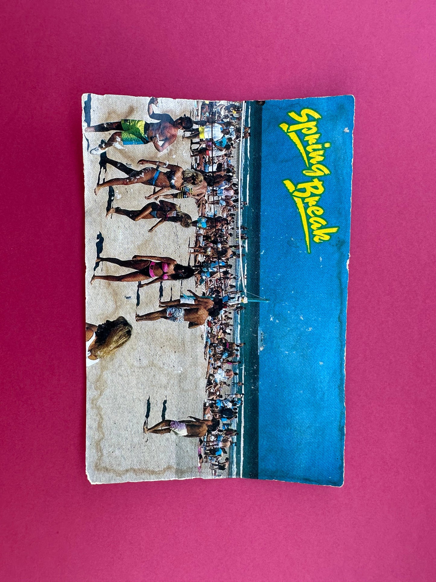 Vintage Spring Break Postcard