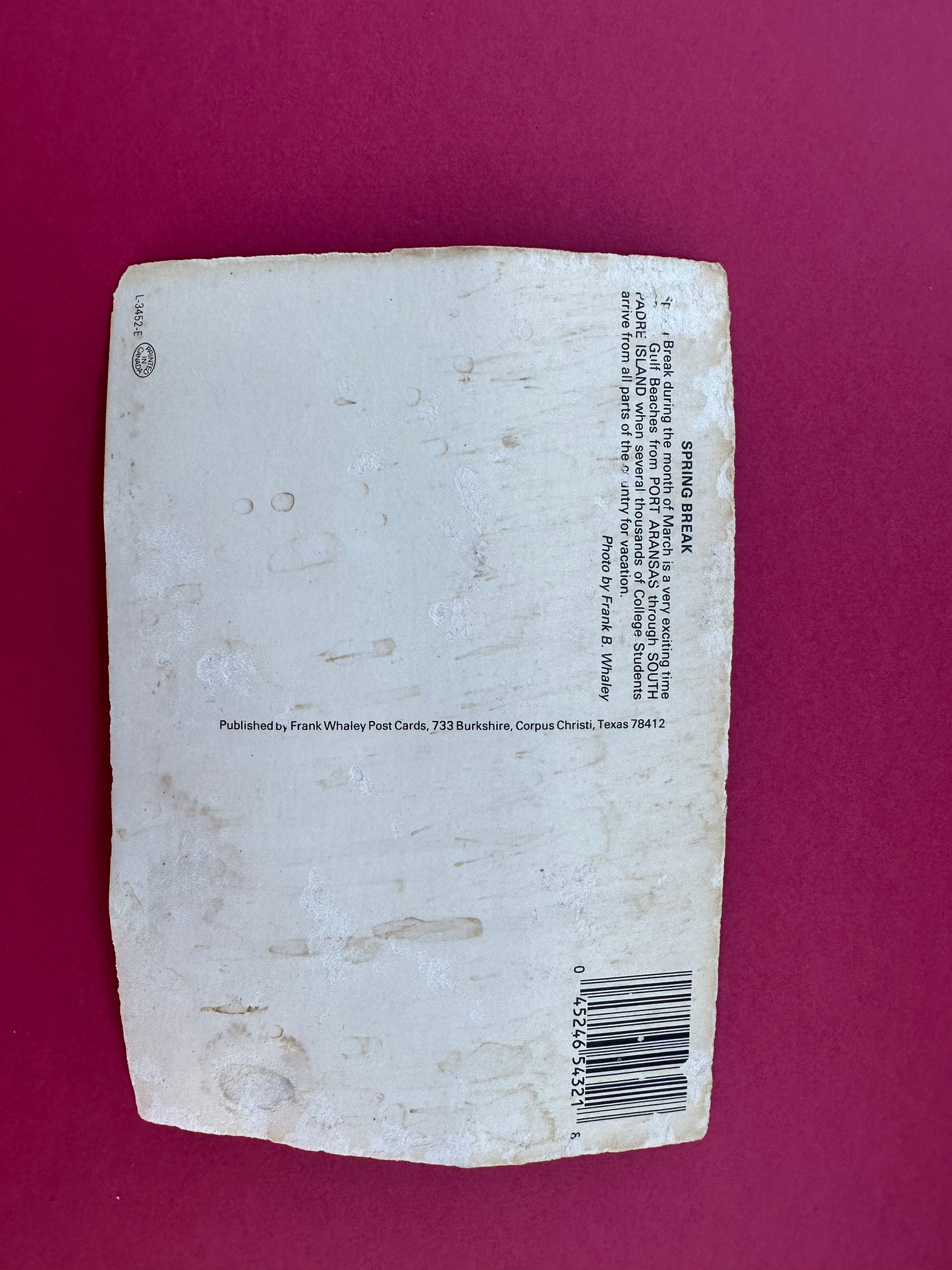 Vintage Spring Break Postcard