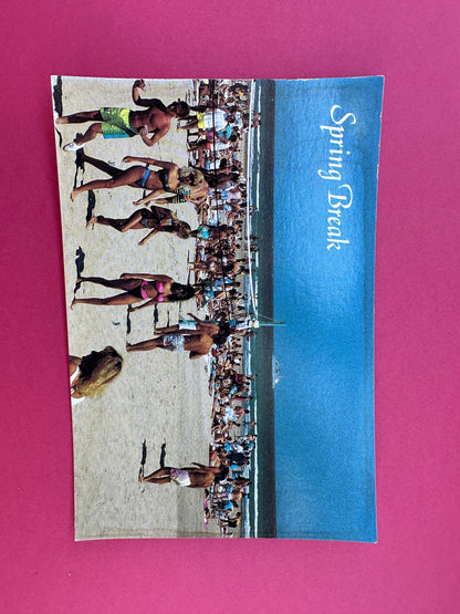 Vintage Spring Break Postcard