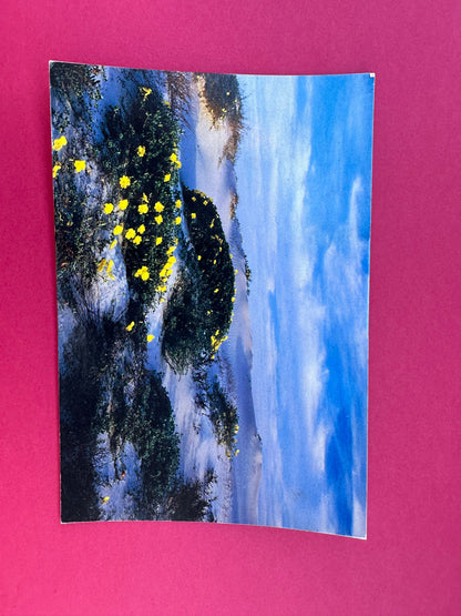 Vintage Beachscape Postcard