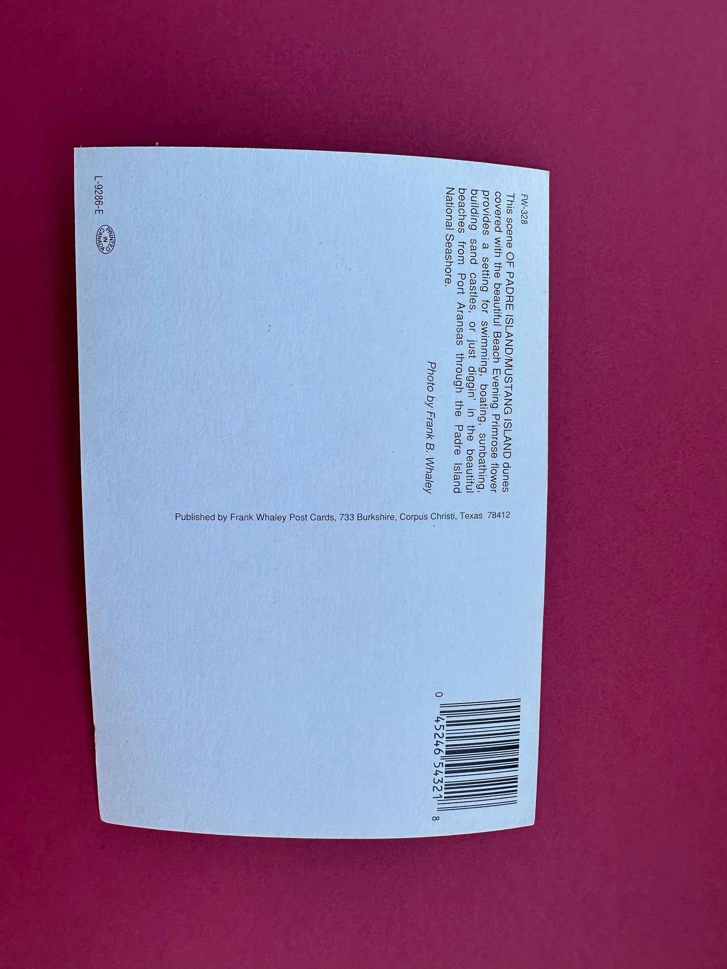 Vintage Beachscape Postcard