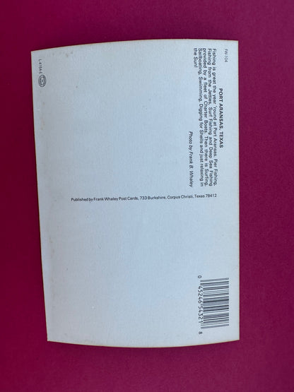 Vintage Fishing Postcard