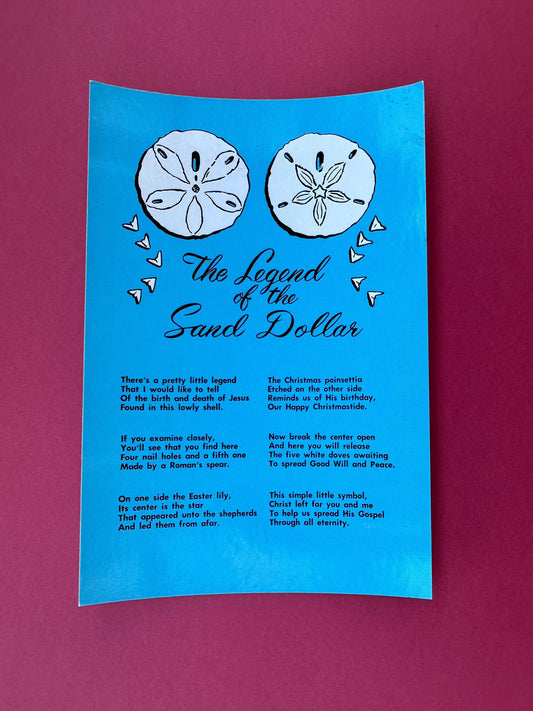 Vintage Sand Dollar Postcard