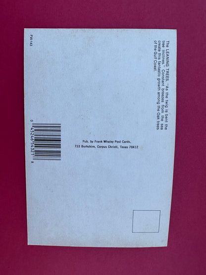 Vintage Leaning Trees Postcard